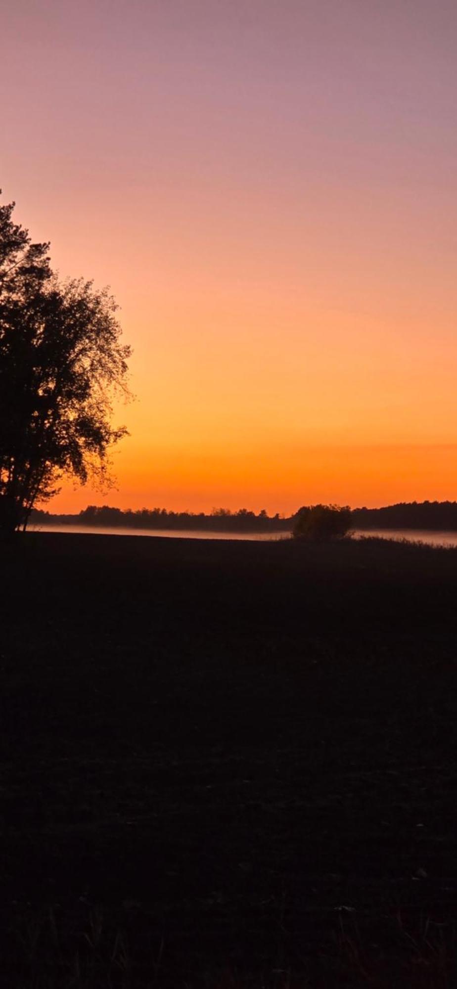 Waldpension Gussow Heidesee 外观 照片